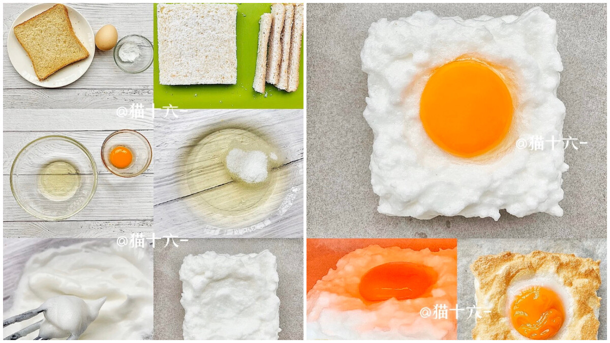 猫十六-@小紅書