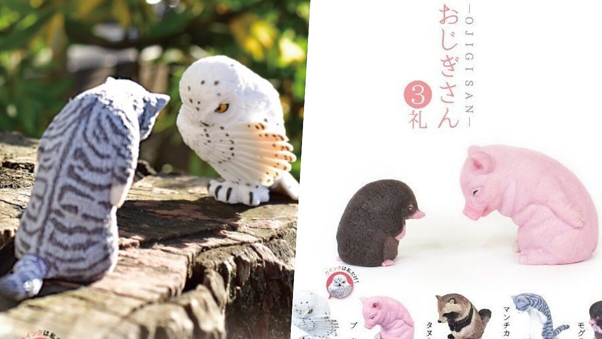 三層肥肉露餡了！日本推「鞠躬動物」第三彈扭蛋登場，貓頭鷹紳士模樣爆炸可愛