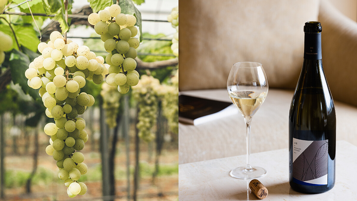 外交部欽點的台灣頂級葡萄酒就是它!橫掃國際大獎的威石東酒莊推出新酒了