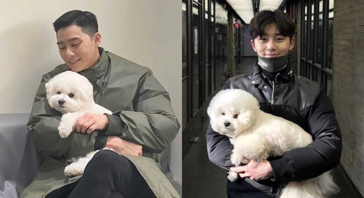朴敘俊是犬派！愛狗男人魅力強，汪星人愛犬「辛巴」萌樣超討喜！