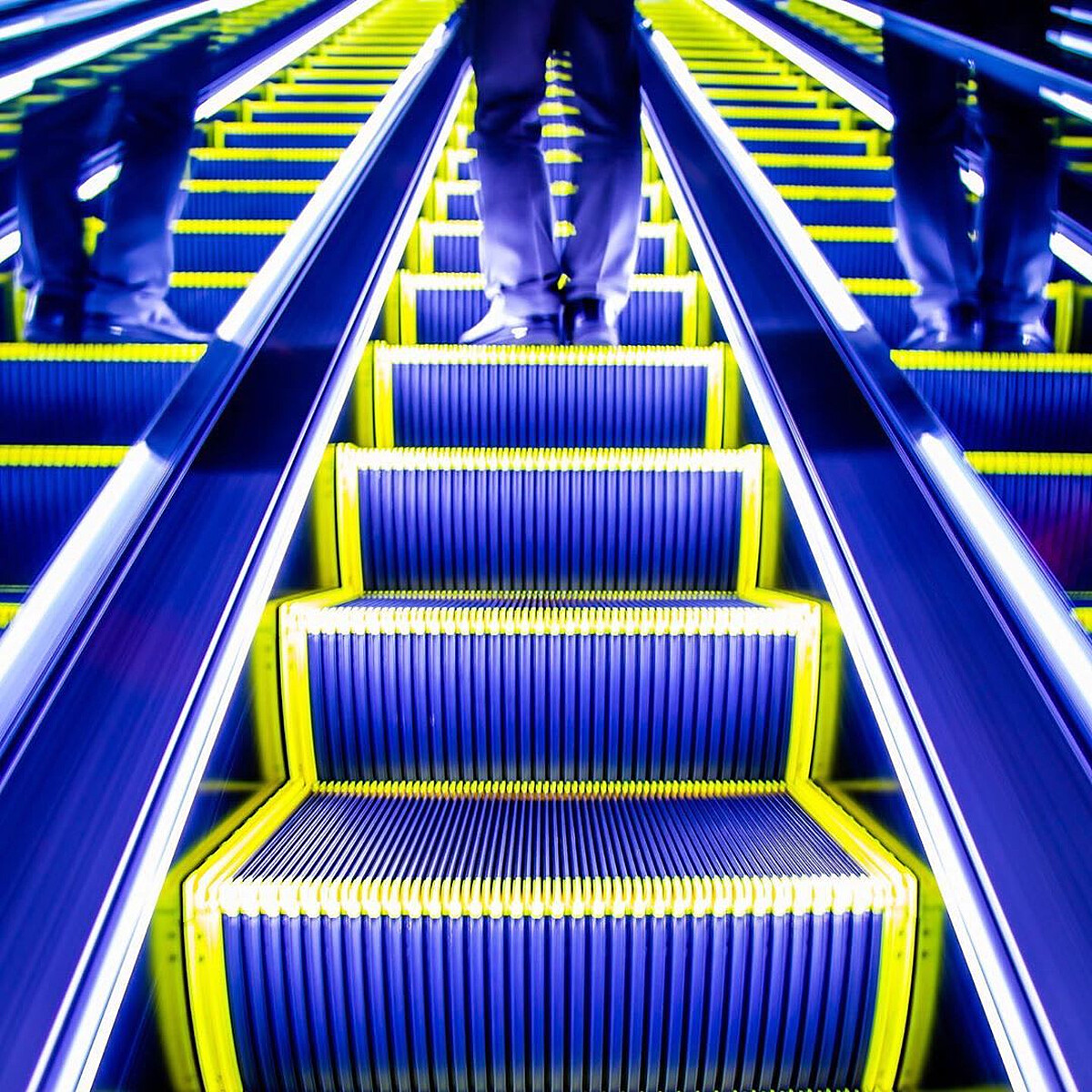 圖片來源：Instagram @shintakizawa.photo