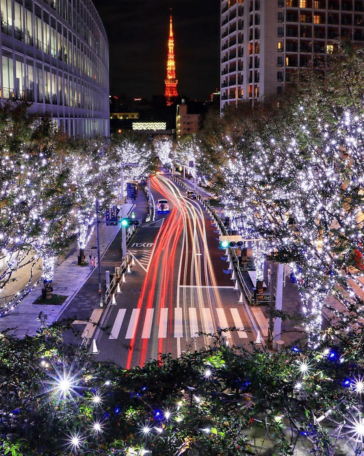 圖片來源：Instagram @tomo_lovephoto