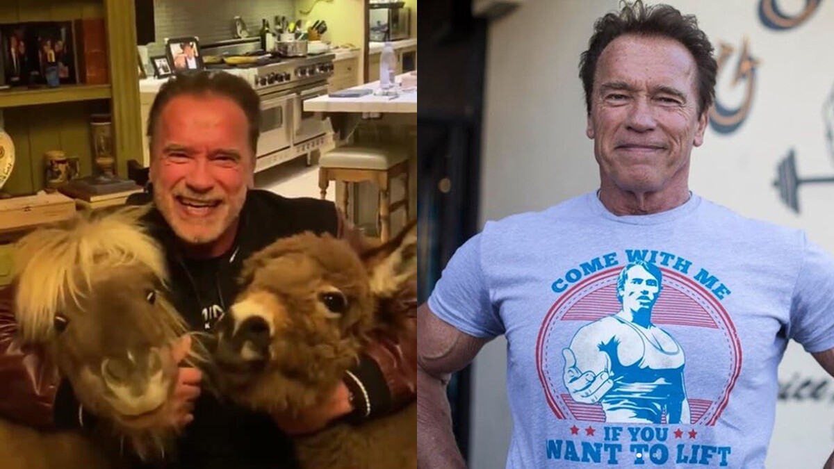 「乖乖待在家！」阿諾揪寵物宣導防範武漢肺炎，「像我這樣的老灰仔不要出門亂跑。」