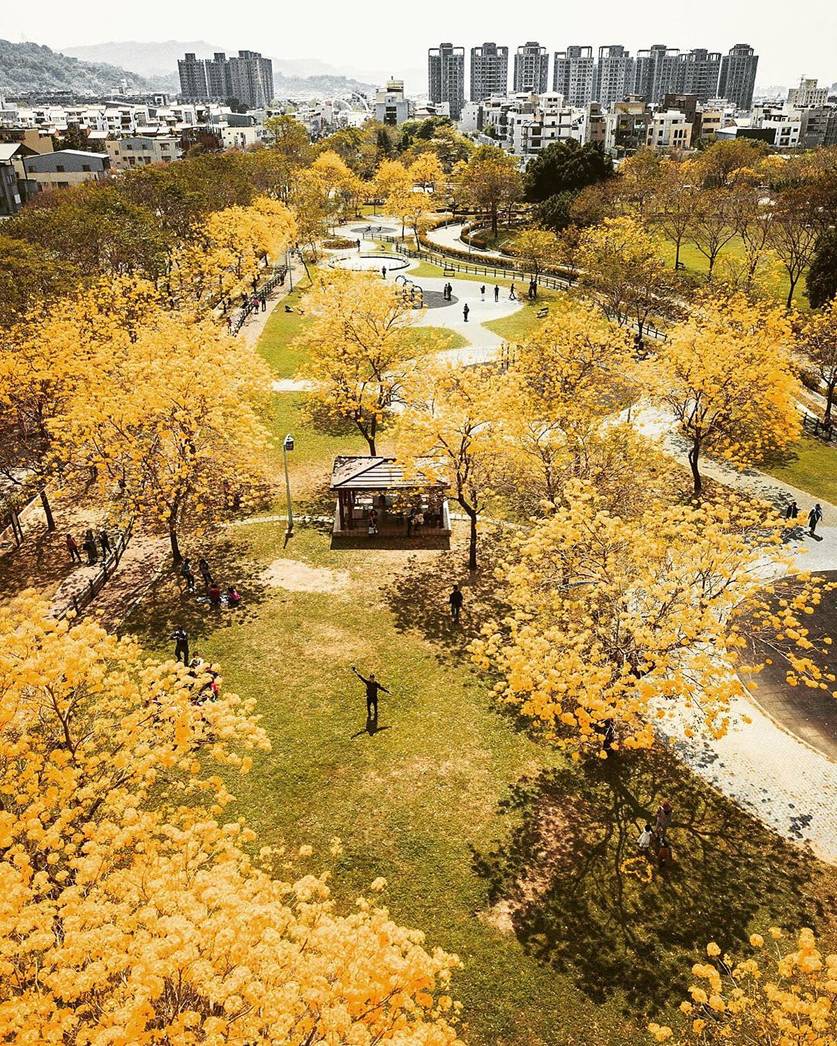 圖片來源：instagram｜chun_vision