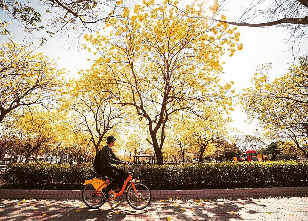 圖片來源：instagram｜chun_vision