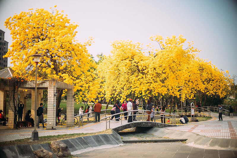 圖片來源：flickr｜chia ying Yang