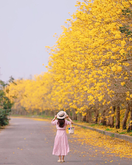 圖片來源：instagram｜hsingfang20