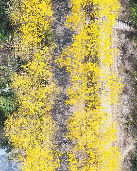 圖片來源：instagram｜shengkai_travel