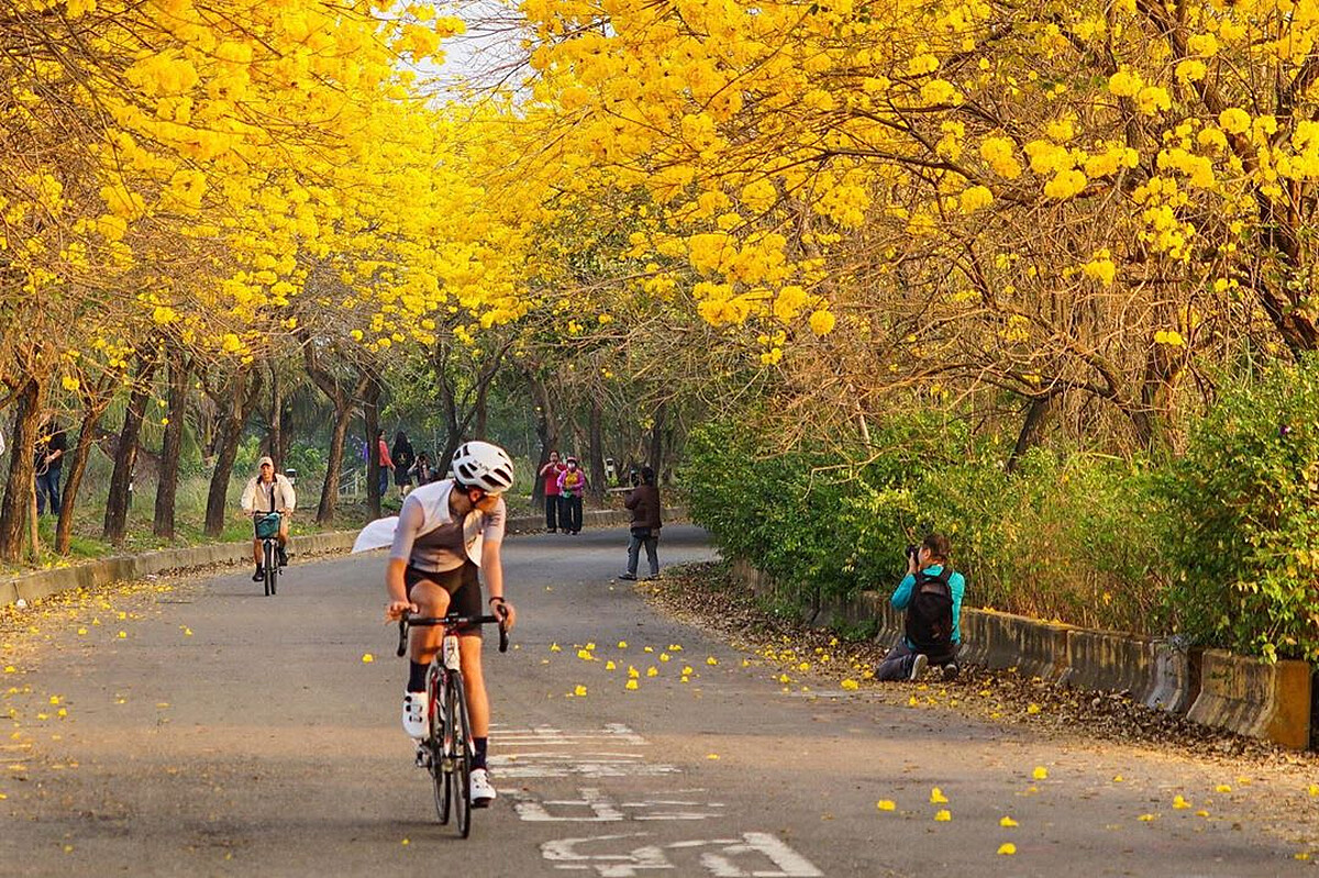 圖片來源：instagram｜jimmywang0529