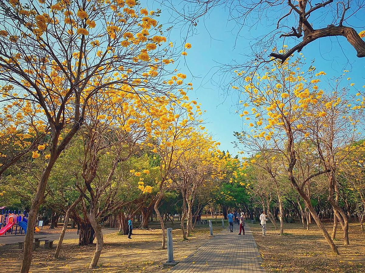 圖片來源：instagram｜lao_maio