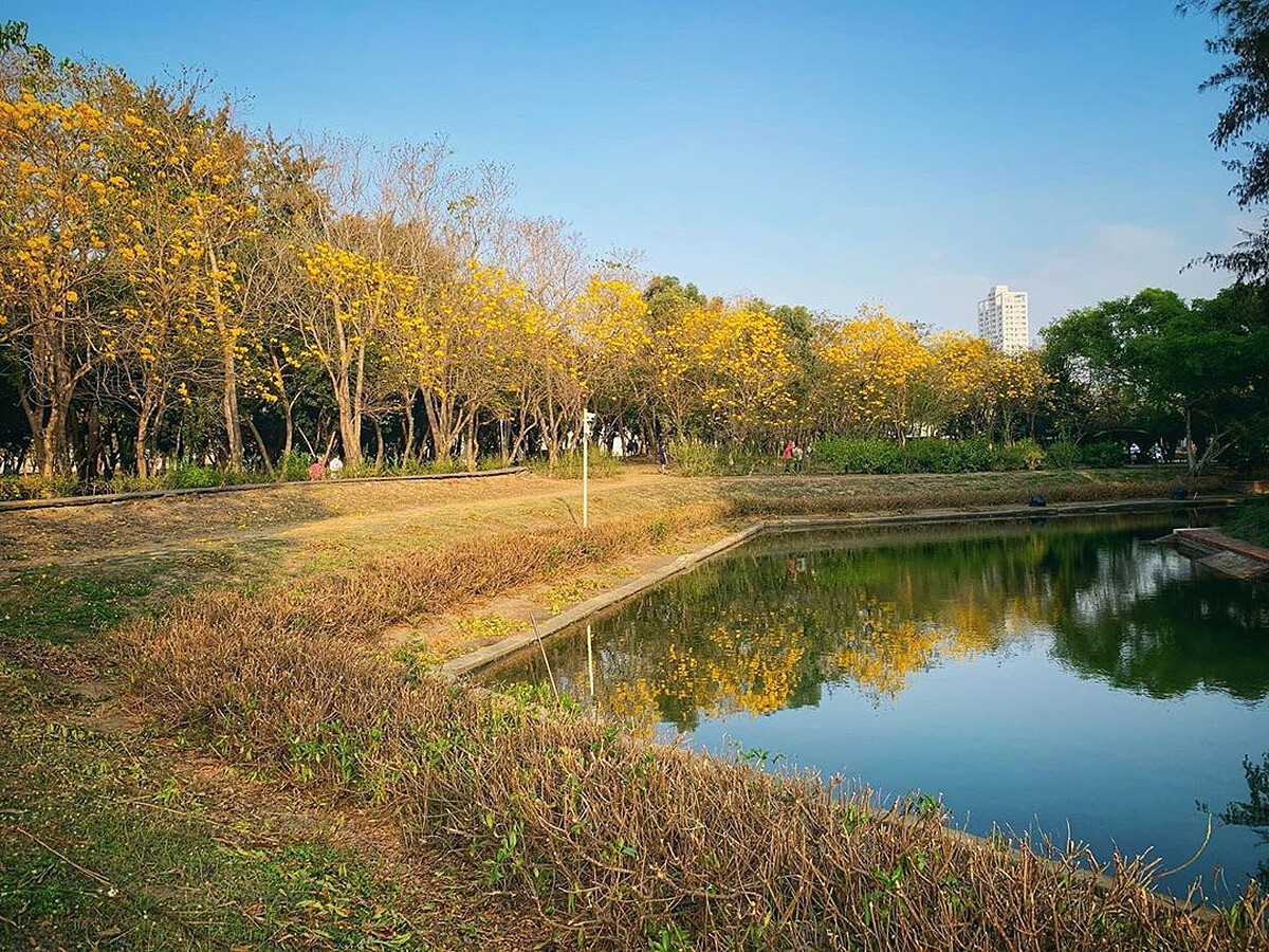 圖片來源：instagram｜lao_maio