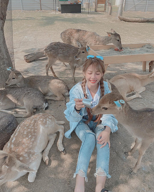 圖片來源： instagram @33love2.0