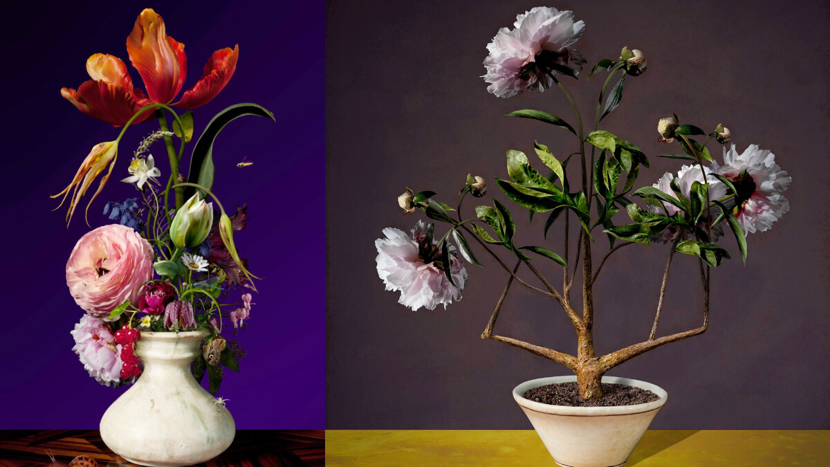 「Diptyque指定合作、凝綻於時間之美」從《夢想花束》特展看攝影師Bas Meeuws的數位花道美學