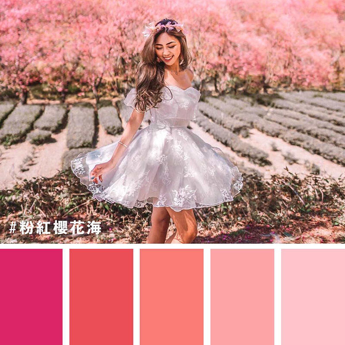 圖片來源：instagram｜@ooo_lin_ooo