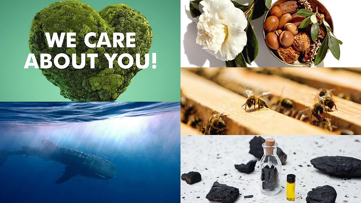 為永續經營而努力！這些品牌的過去、現在與未來，都不曾遺忘我們居住的地球保護！