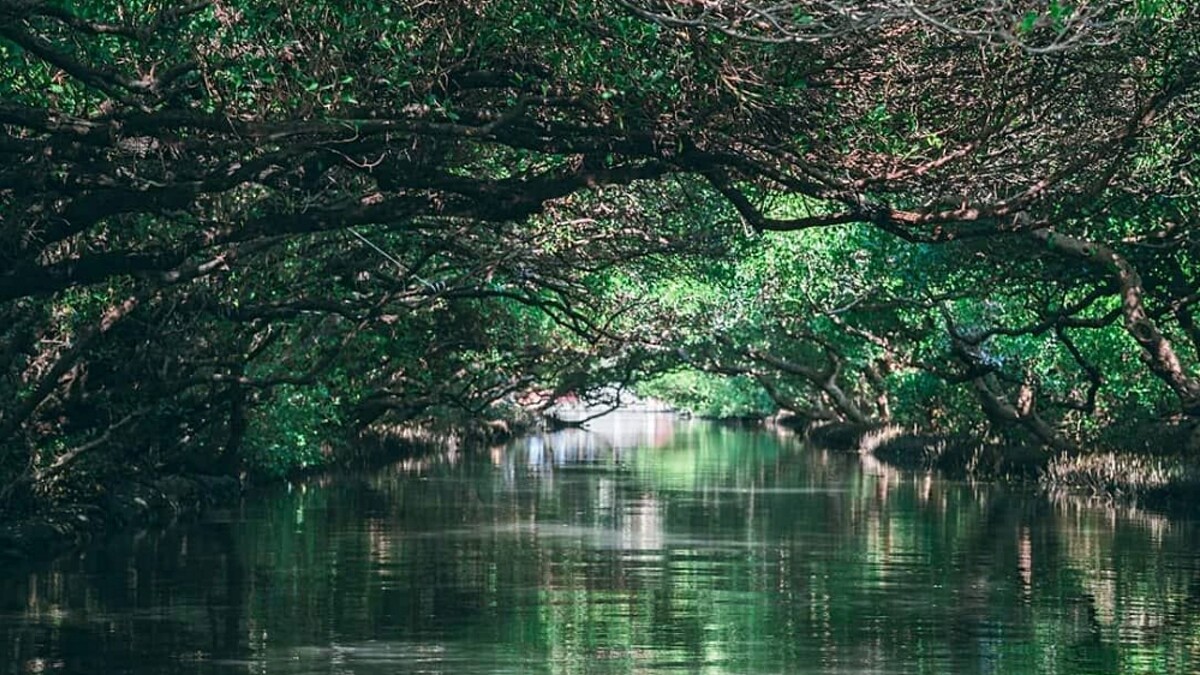 Photo／IG @natsumihibiki