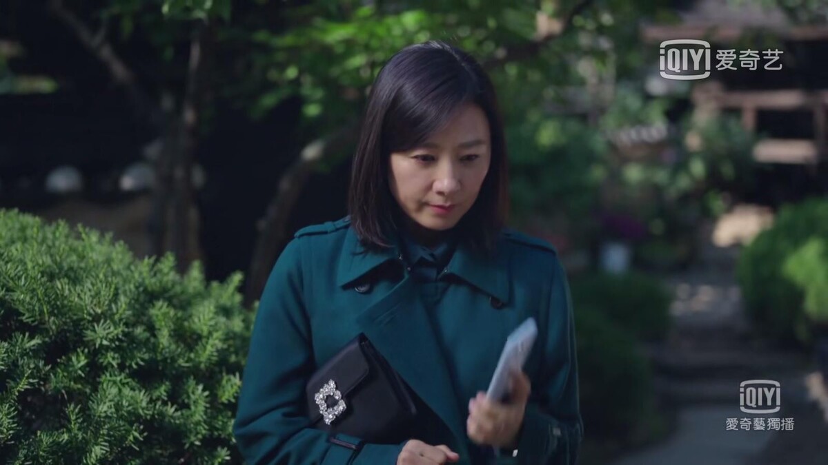 Photo/翻攝愛奇藝