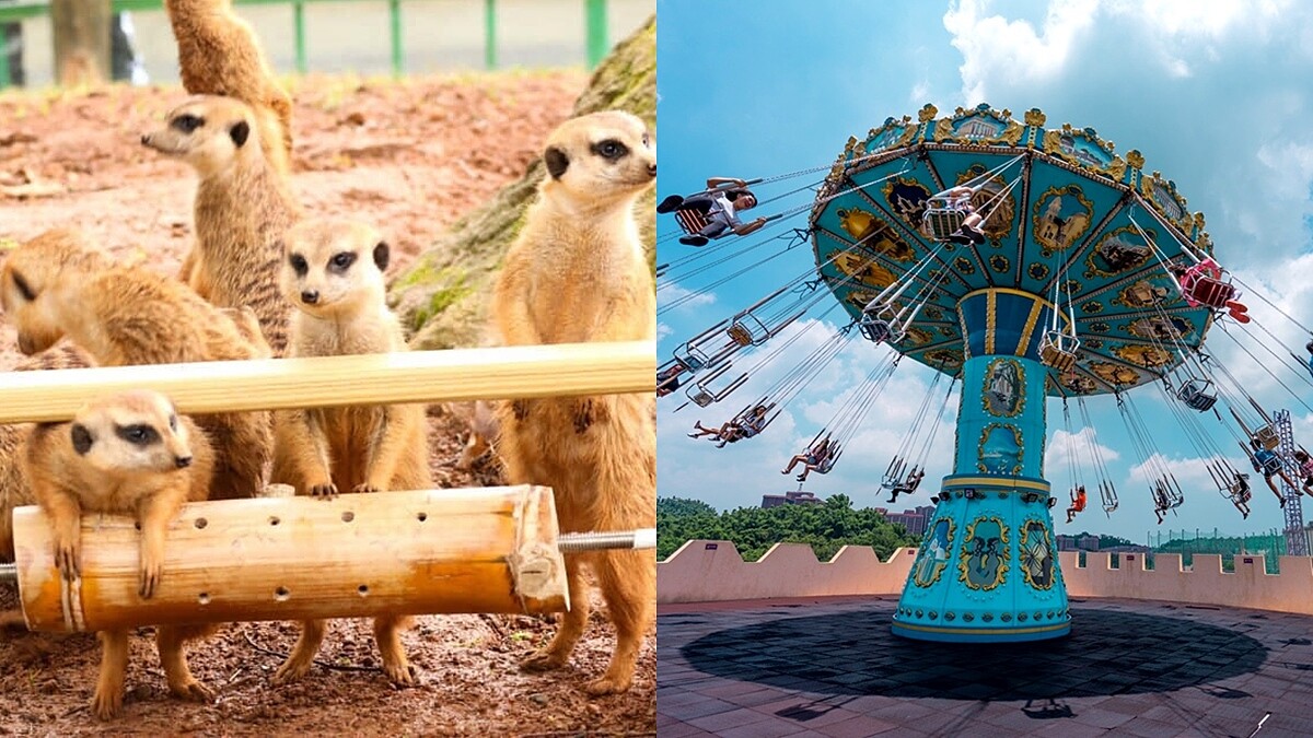 2020兒童節5大遊樂園活動總整理！全台最大動物派對、10萬株薰衣草花海、12歲以下免費入場...快去紓壓一波