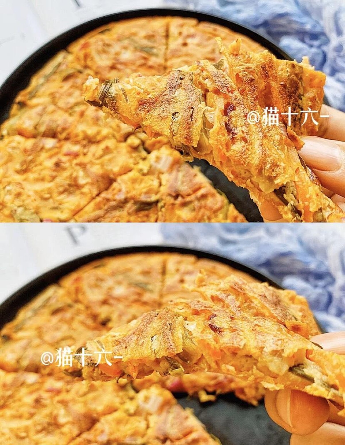 Photo/猫十六@小紅書