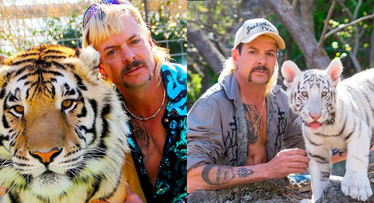 Netflix《虎王》紀錄片爆紅！八點檔劇情、好友互撕，完全偏題的老虎動保議題，超級神展開！