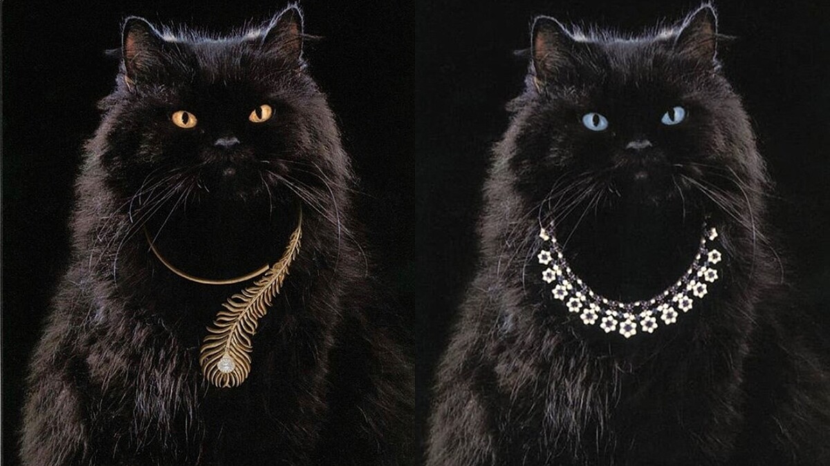 珠寶小學堂｜Boucheron品牌史上最萌形象面孔，不只擔綱廣告要角，還有以牠為名的珠寶！