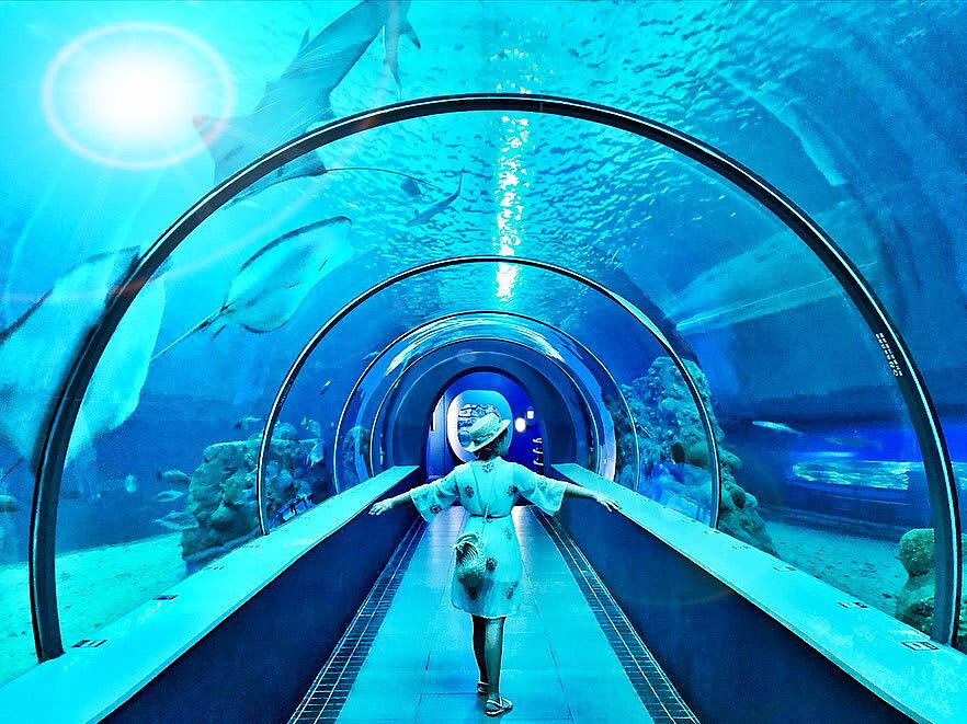 圖片來源：instagram @gominkin