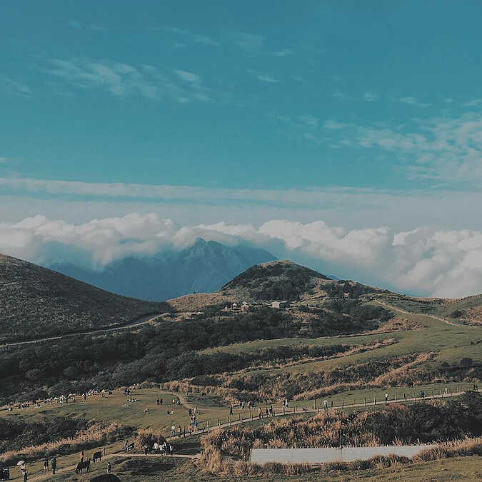 擎天崗一景。圖片來源: IG @6.25.7___ 授權