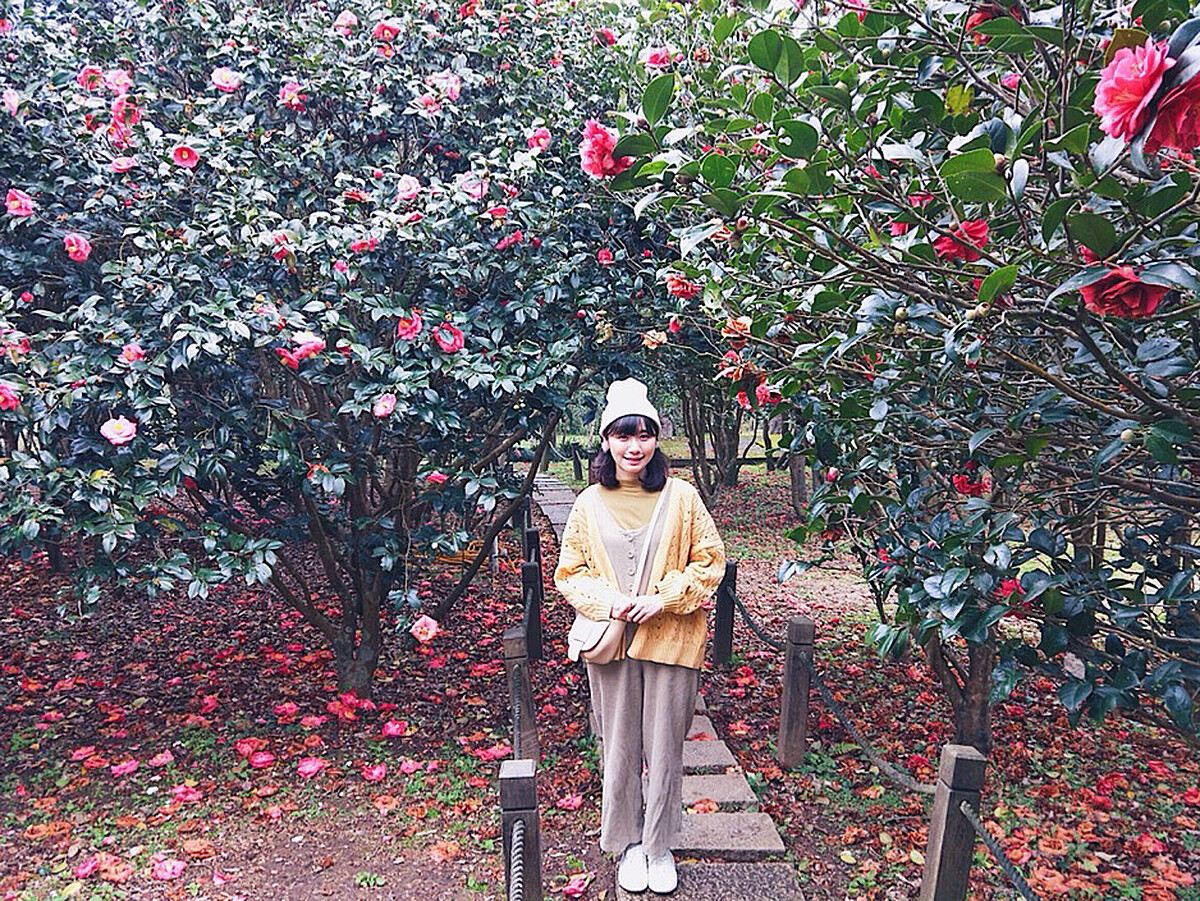 花卉試驗中心的茶花景色。圖片來源： IG @happyabby_ 授權