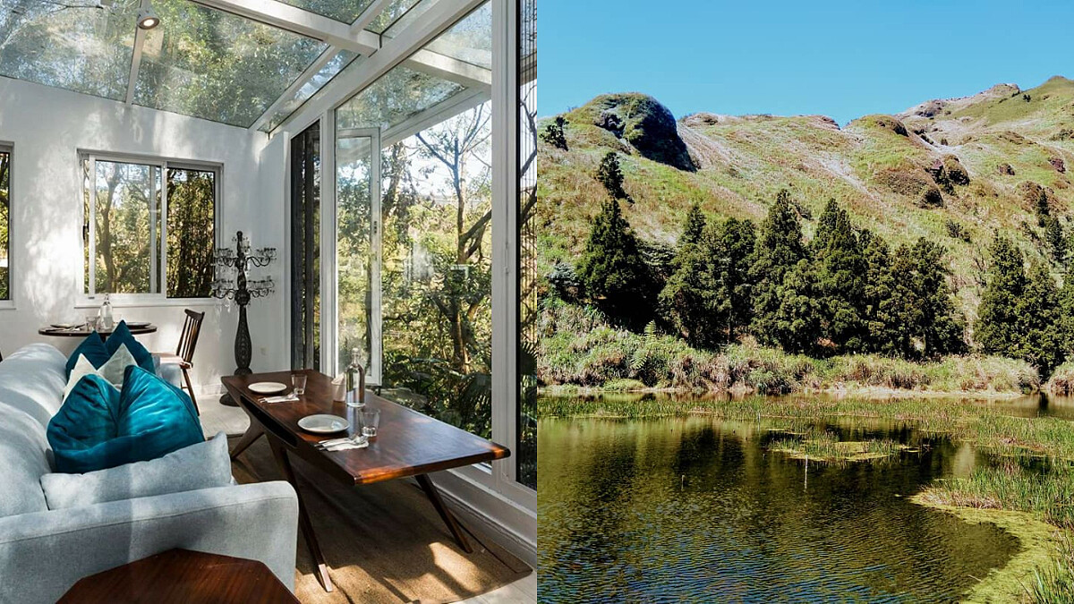 一年四季都好玩!陽明山四季看點&必去景點&秘境咖啡廳完整攻略!