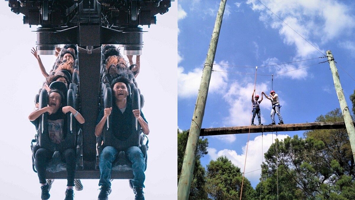 挑戰膽量極限！六福莊「嚇破膽專案」玩高空繩索、近距離看猛獸、刺激遊樂設施，保證喊破喉嚨