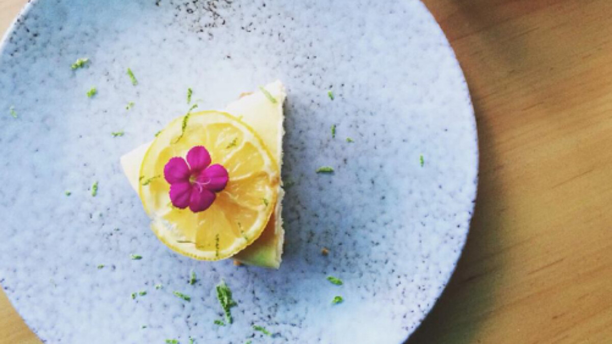 誠品生活南西5/1-5/10 「夢幻甜點店」｜別所Shelter｜小農檸檬起司蛋糕