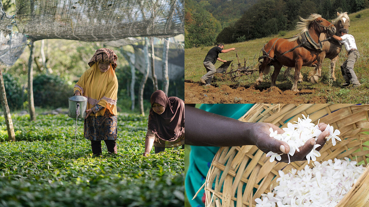 100％純天然不等於真環保，選擇真正友善地球保養品牌，從有機認證、永續栽種、公平交易等方面著手！