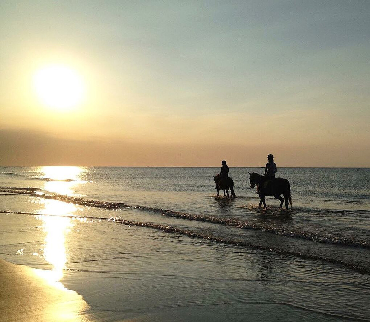 Source: IG @luye.equestrian.center 授權KLOOK轉載