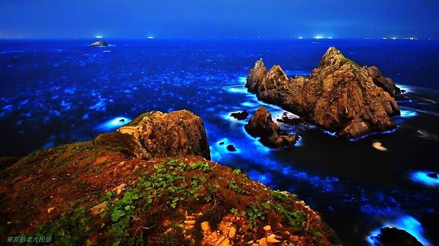 此生必看「馬祖藍眼淚」現正大爆發！整片藍色螢光海宛如仙境，最佳觀賞時間地點公開