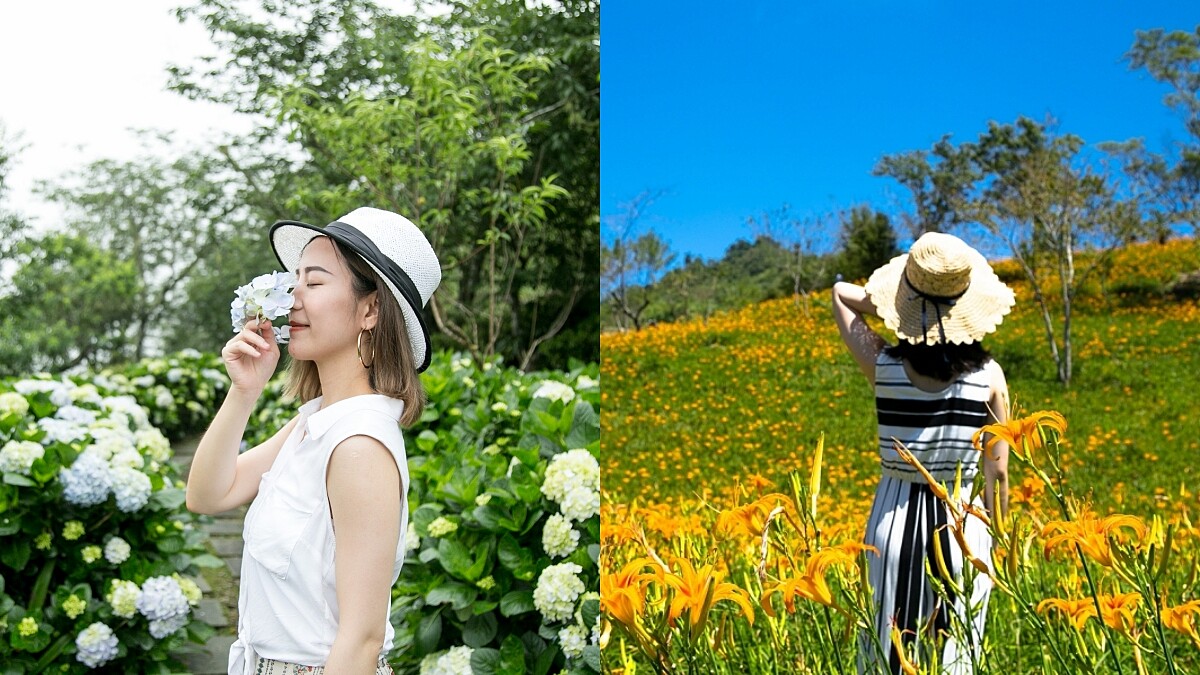 一次把夢幻繡球花、金針花拍好拍滿！台東知本老爺酒店帶你賞夏季繽紛花海，晚上再泡美人湯溫泉