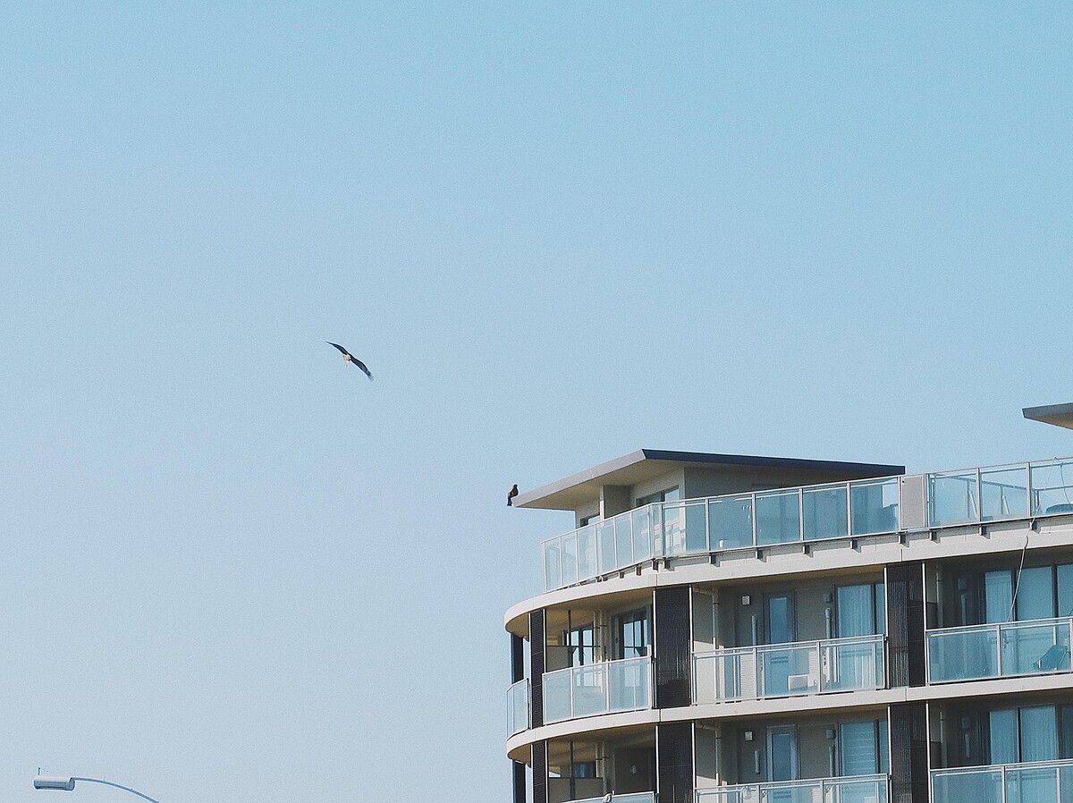 Photo/不朽