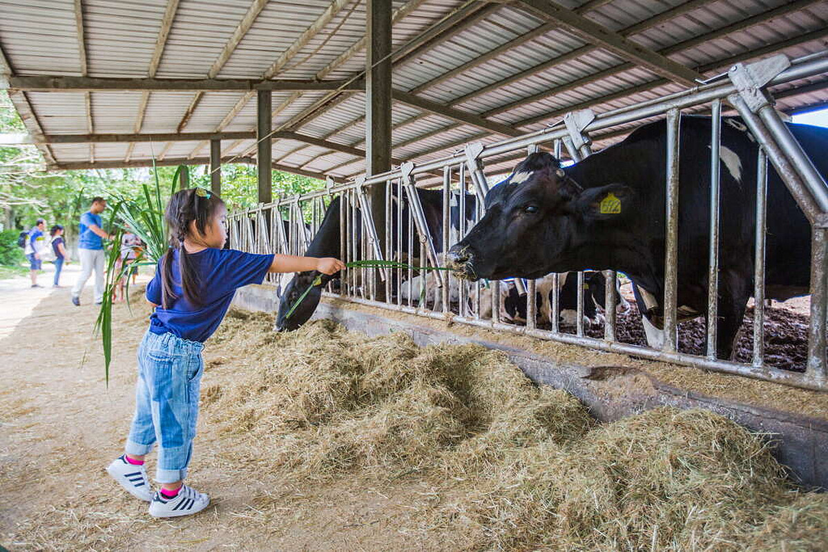 圖片來源：花東縱谷國家風景區 開放公眾引用