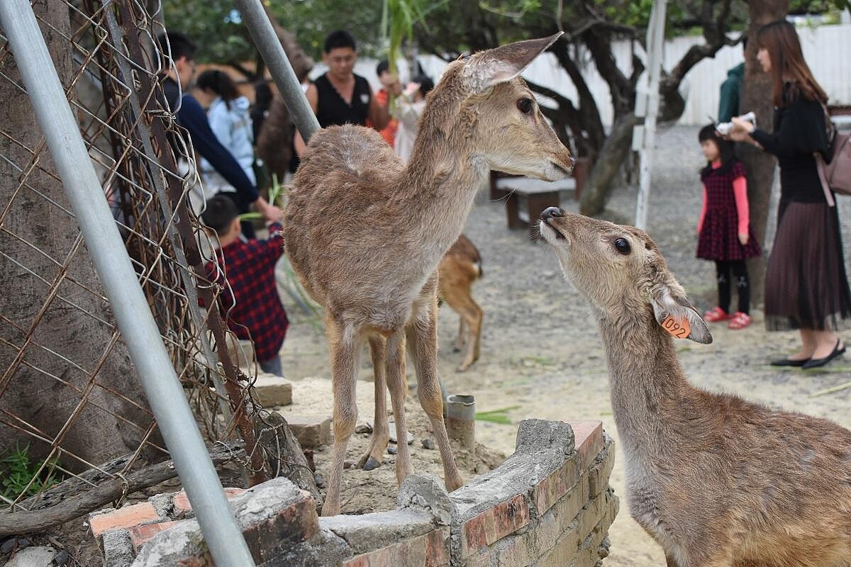 圖片來源：KLOOK