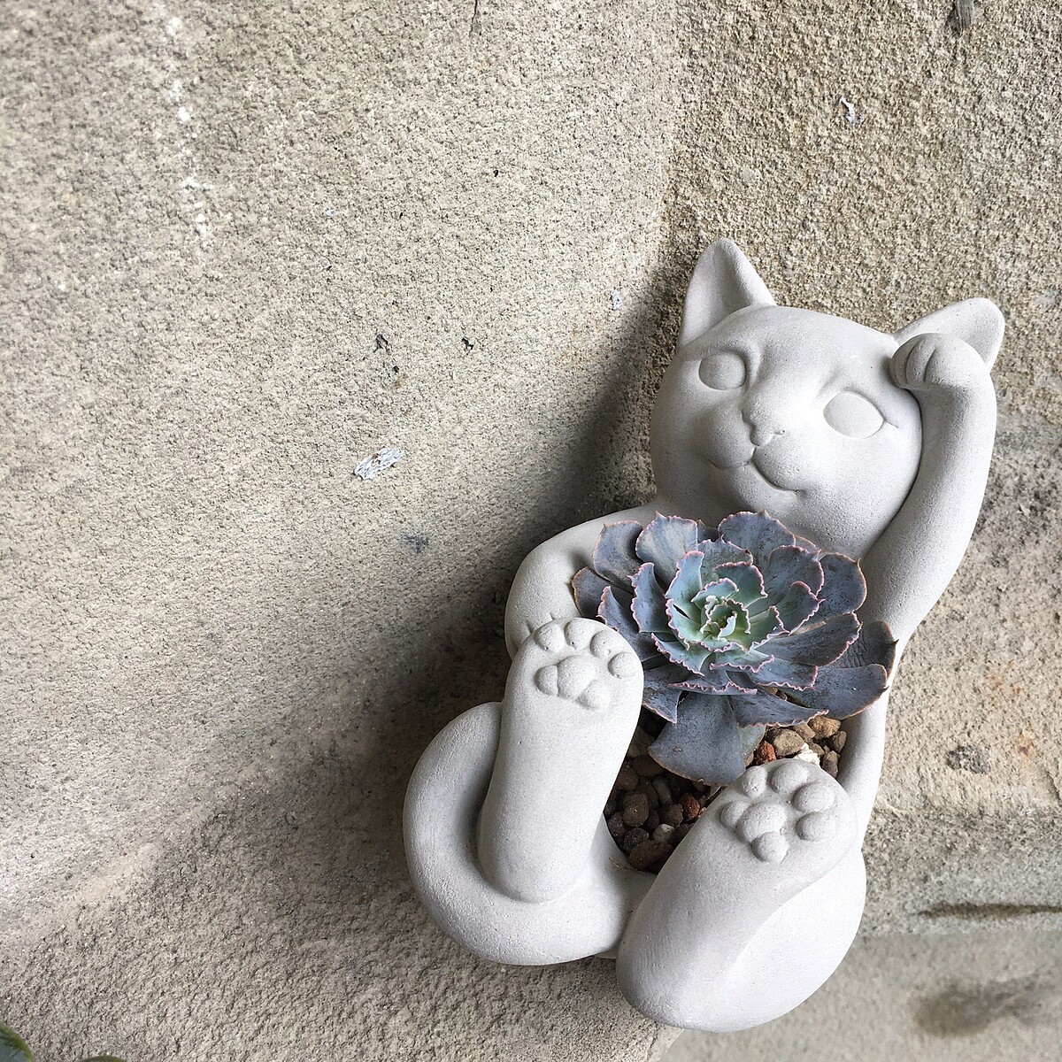 誠品生活expo｜T-bone Studio｜萌貓水泥盆器｜推薦價1280元。