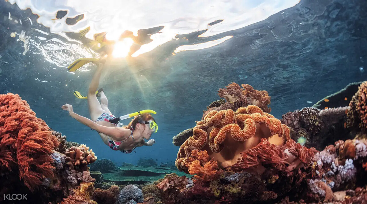 前往墾丁獨有平台式潛水,探索綺麗海底世界。Source: KLOOK
