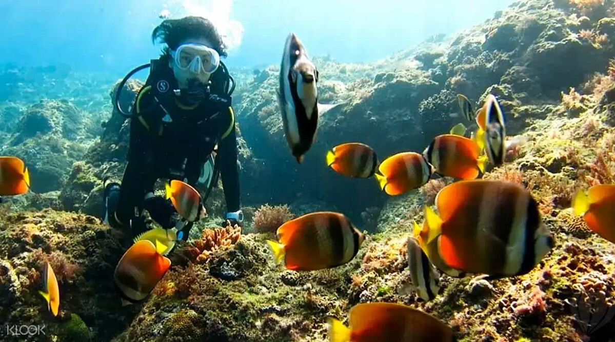 在小琉球體驗水中無重力的自由漂浮感,盡情欣賞豐富海洋生態。Source: KLOOK