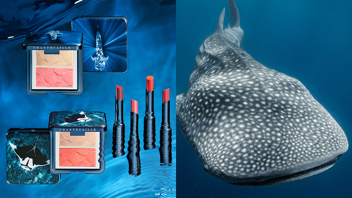 聽海哭的聲音，2020香緹卡保護鯨鯊與瀕危鬼蝠鱝，合作WildAid推出夏季蔚藍海洋慈善彩妝