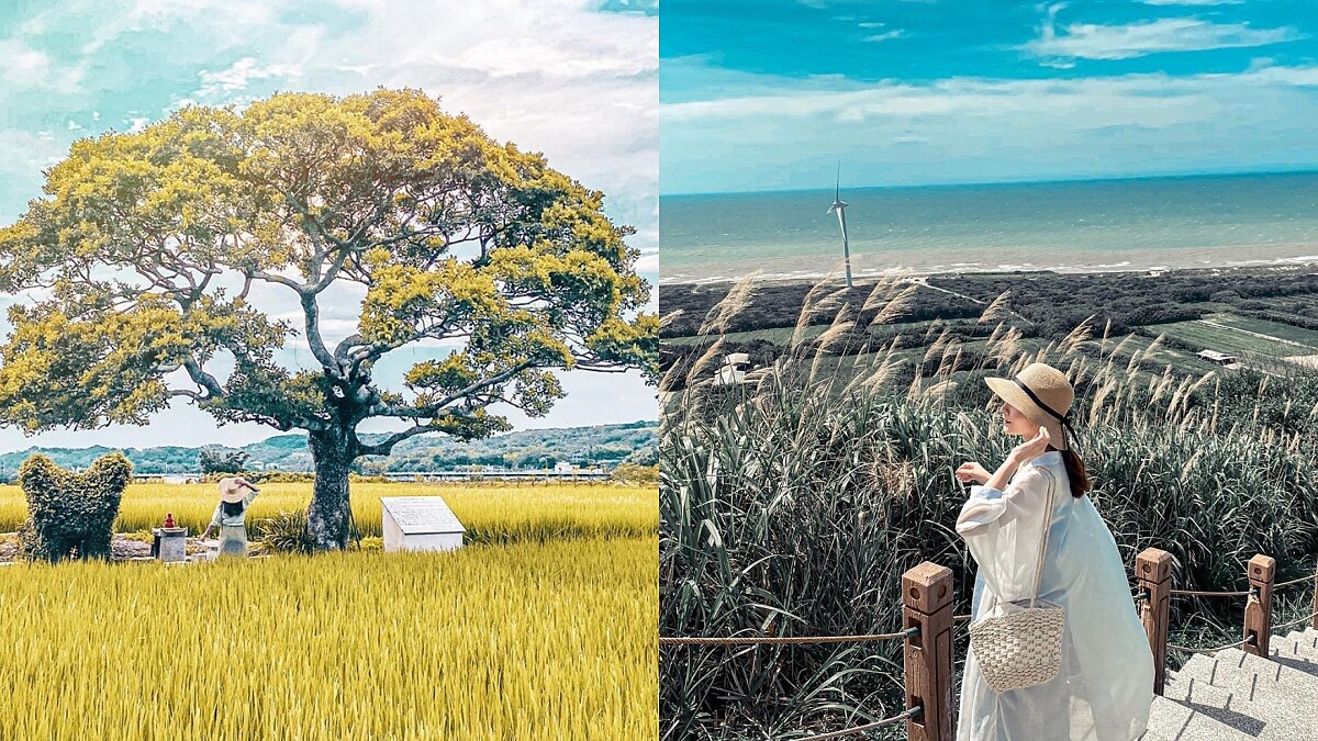 2023苗栗景點懶人包！10大IG網美打卡勝地：龍貓土地公、竹林秘境、好望角等總整理，保證拍到手軟