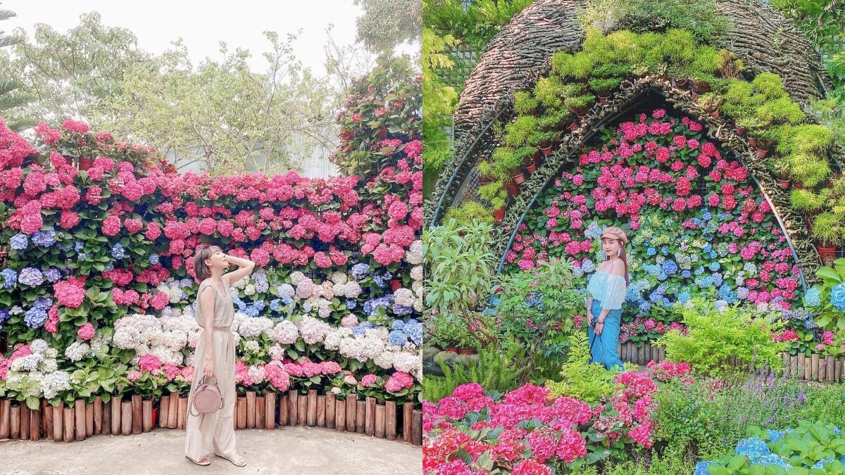 Photo／IG@pennie_148.7、yan.ji_ni授權提供