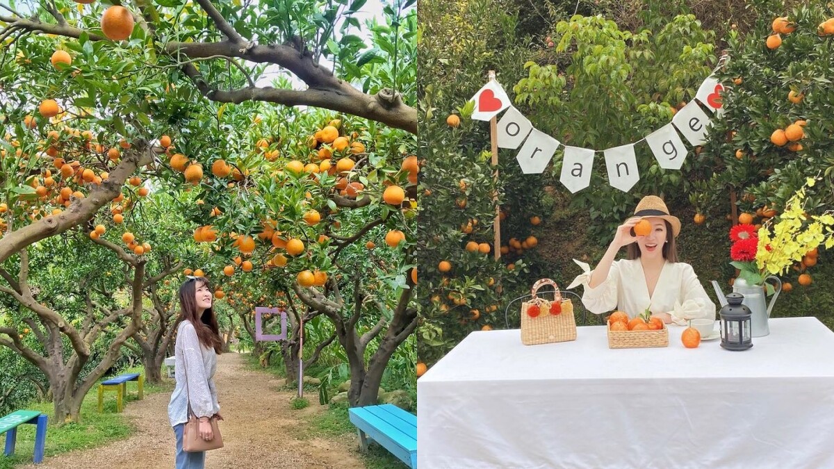 Photo／IG@a_____byyy、cd_yue授權提供