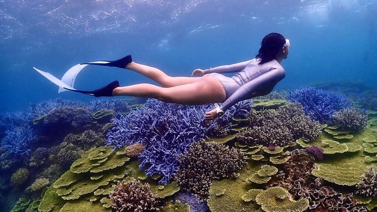 Photo／IG@ning.0920授權提供