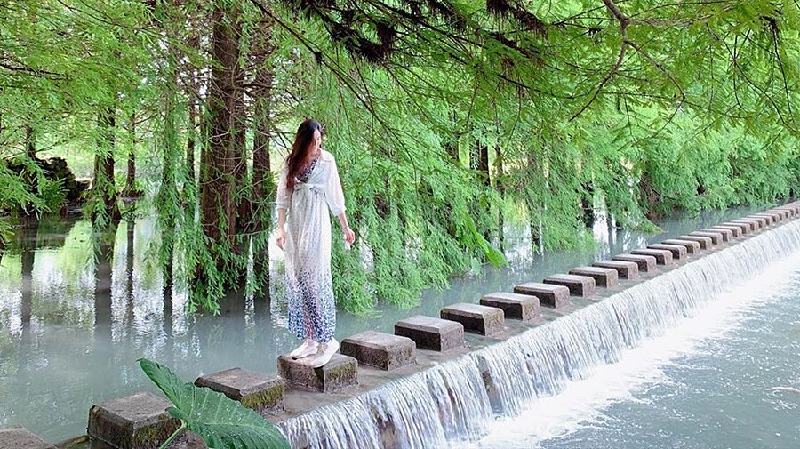 Photo／IG@nicolelin__授權提供