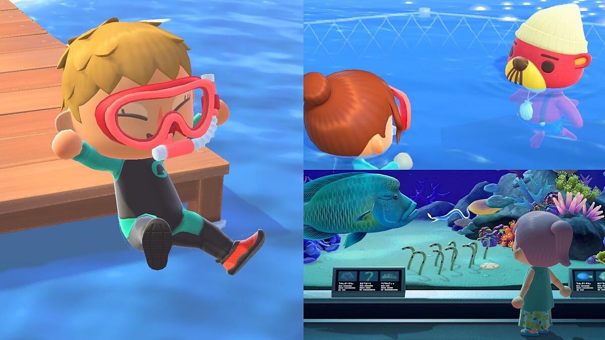 動森可以游泳啦!《動物森友會》免費更新7大亮點公開,暢遊大海浮淺、全新角色登場