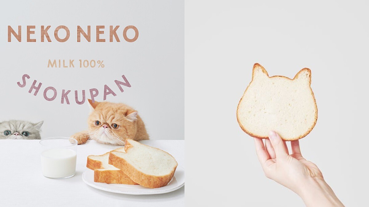 日本IG超紅貓咪生吐司來了！《NEKO NEKO SHOKUPAN》台灣快閃店9月登場