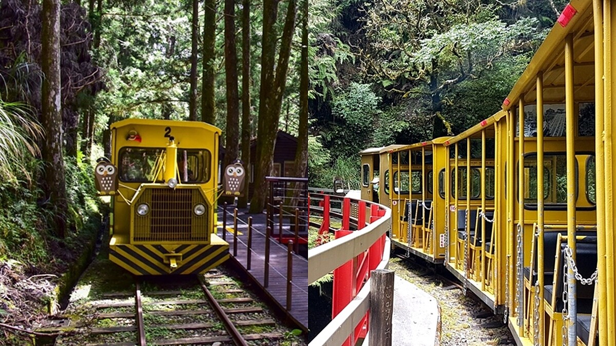 睽違半年！2020宜蘭「太平山蹦蹦車」恢復行駛，3公里車程、無窗戶車廂，零距離擁抱大自然芬多精，票價、時刻表一次看